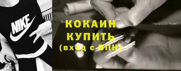 индика Богданович