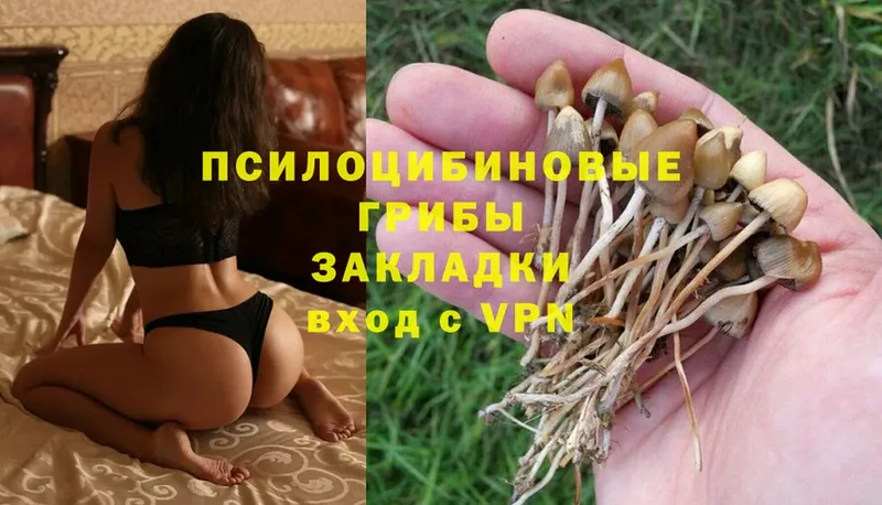 Галлюциногенные грибы Magic Shrooms  Мамадыш 